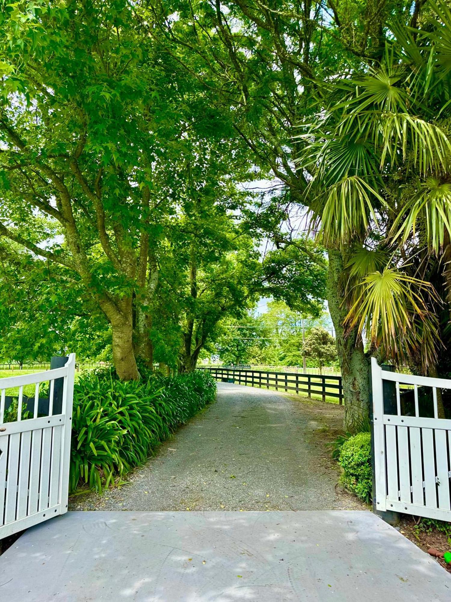 Matamata Country B&B Εξωτερικό φωτογραφία